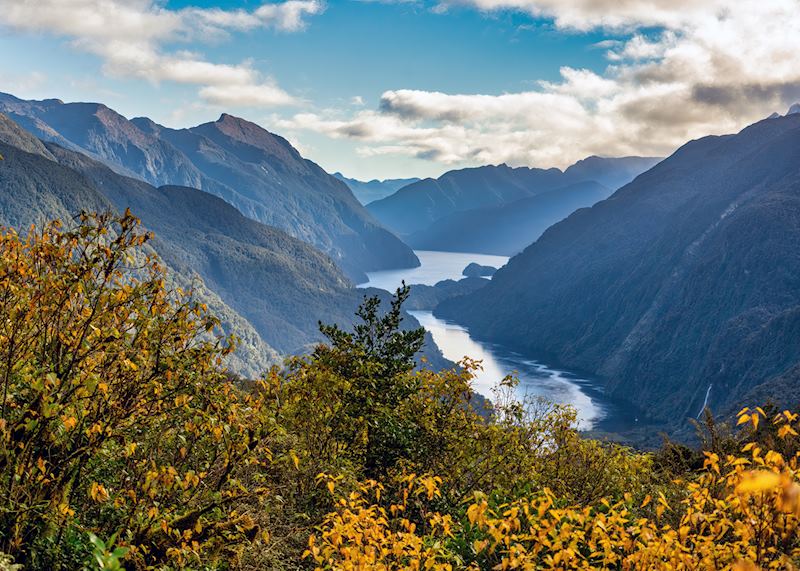 Doubtful Sound