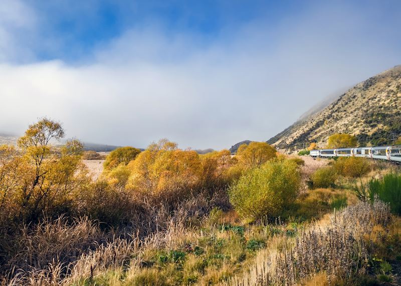 TranzAlpine Train