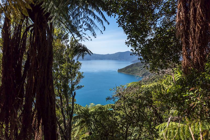 Queen Charlotte Track