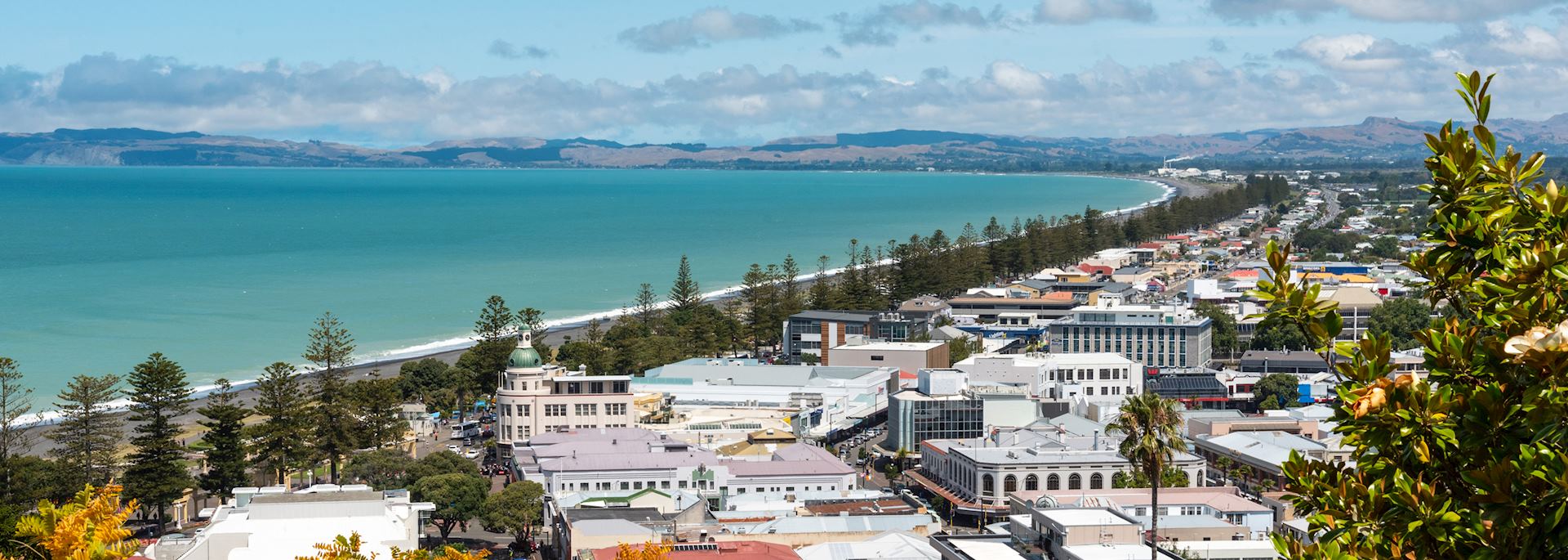 Napier