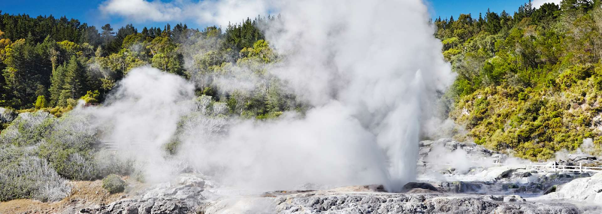 Pohutu geyser, Rotorua