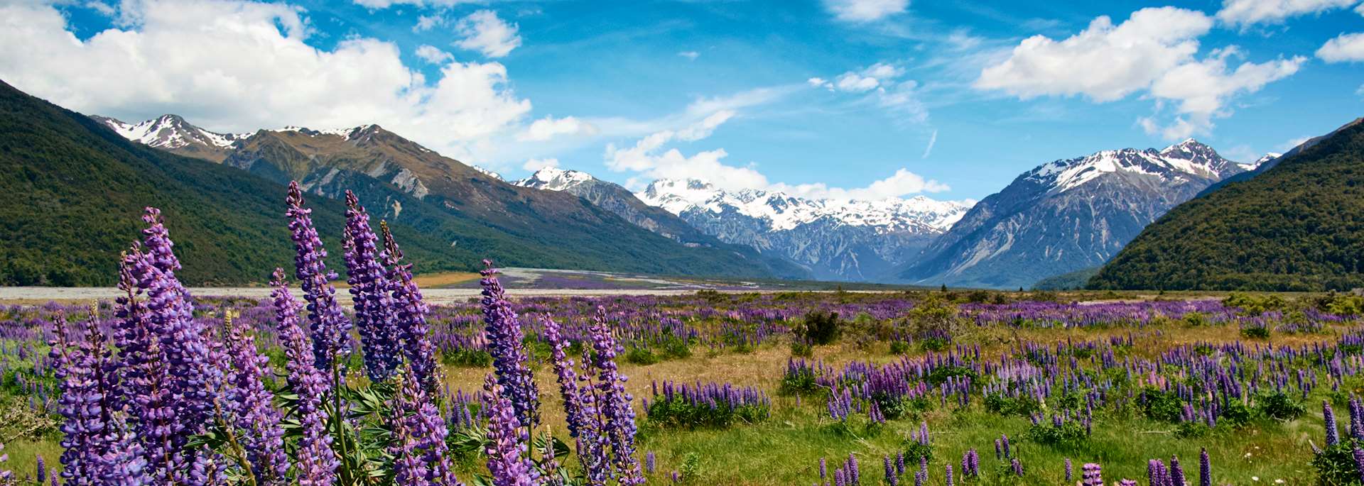 Arthur's Pass National Park