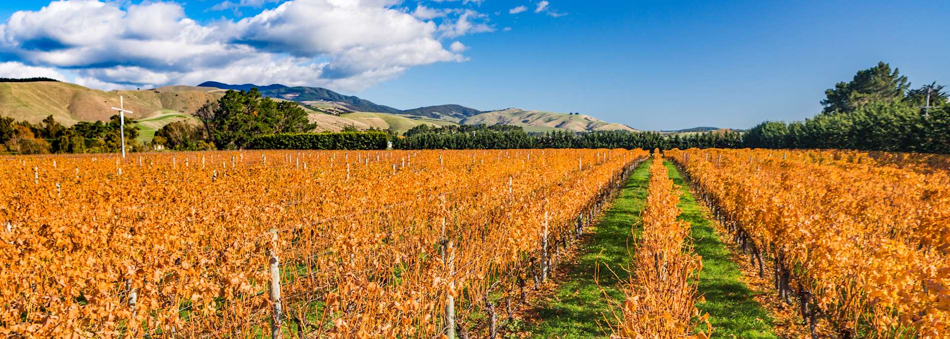Martinborough, New Zealand