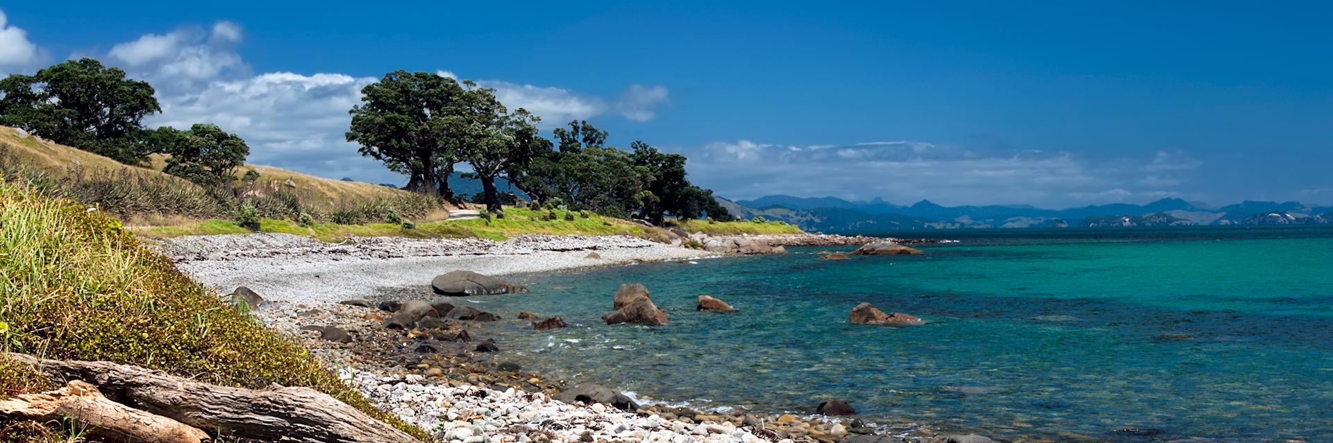 Coromandel Peninsula, Thames, New Zealand