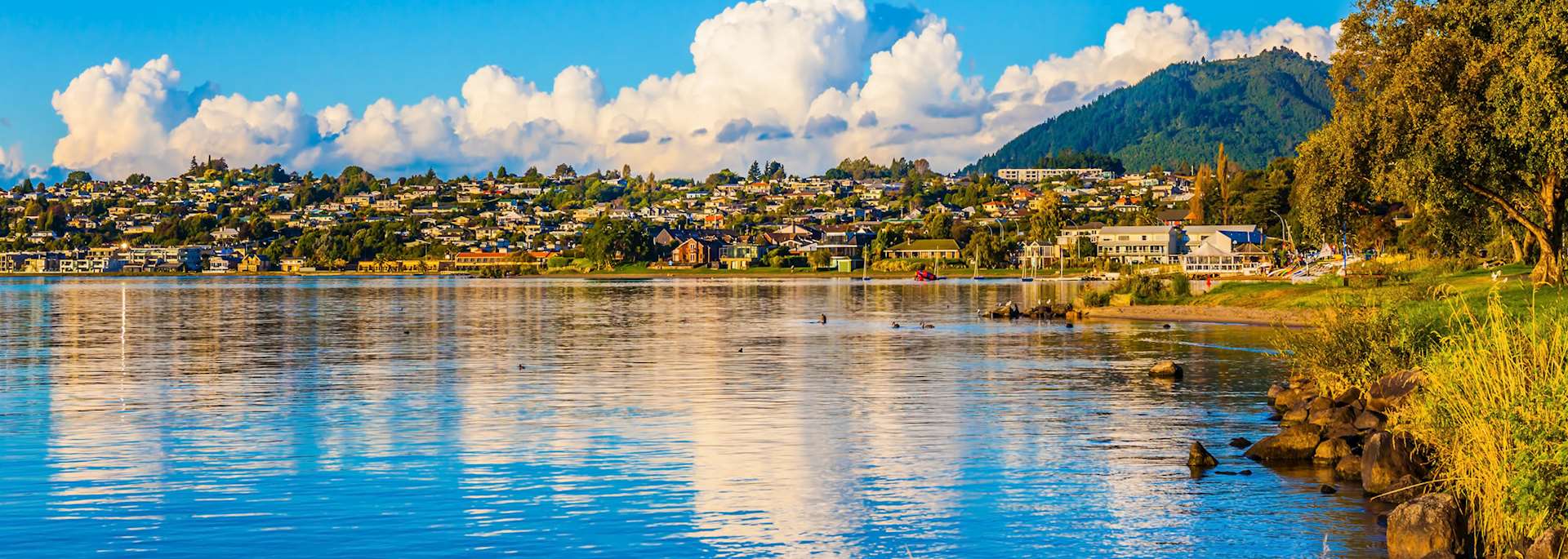 Lake Taupo