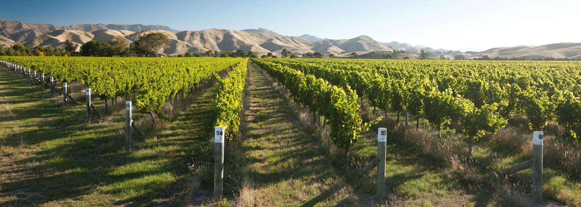 Blenheim, New Zealand