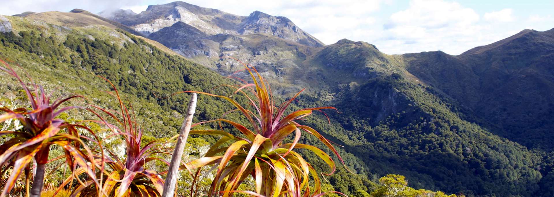 Kahurangi National Park