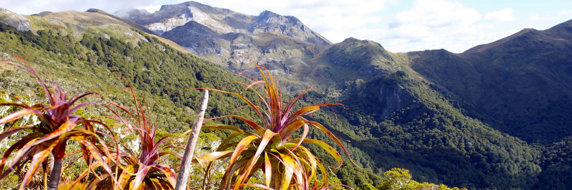 Kahurangi National Park