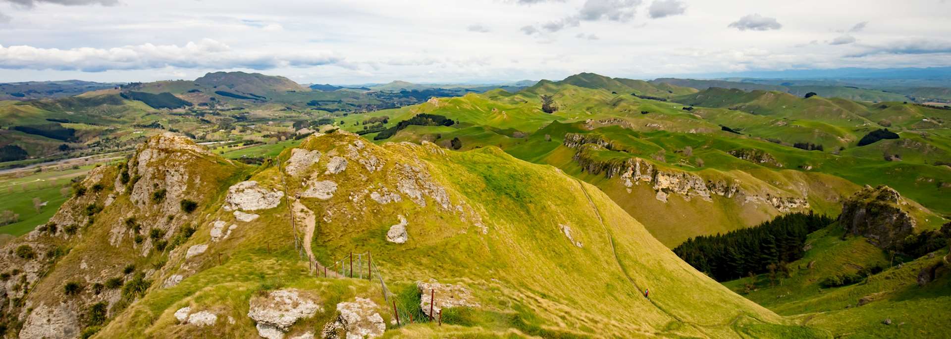 Te Mata Peak, Hastings