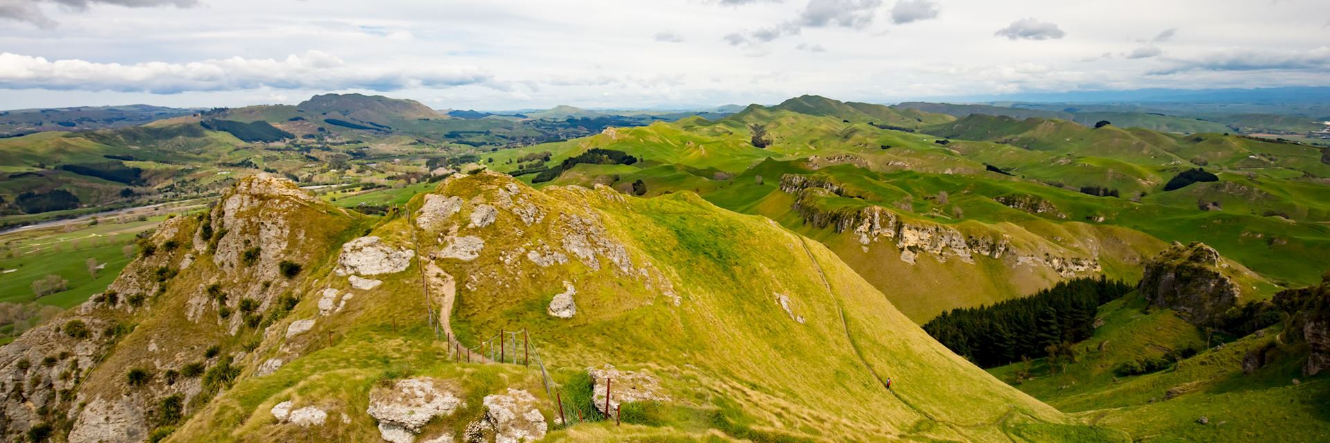 Te Mata Peak, Hastings