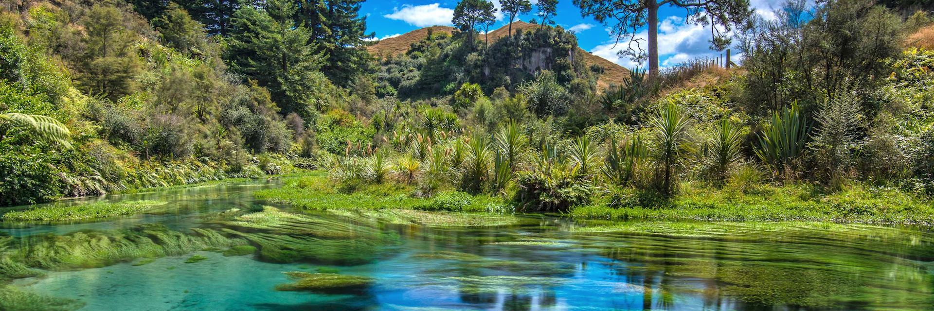 Waikato region, New Zealand