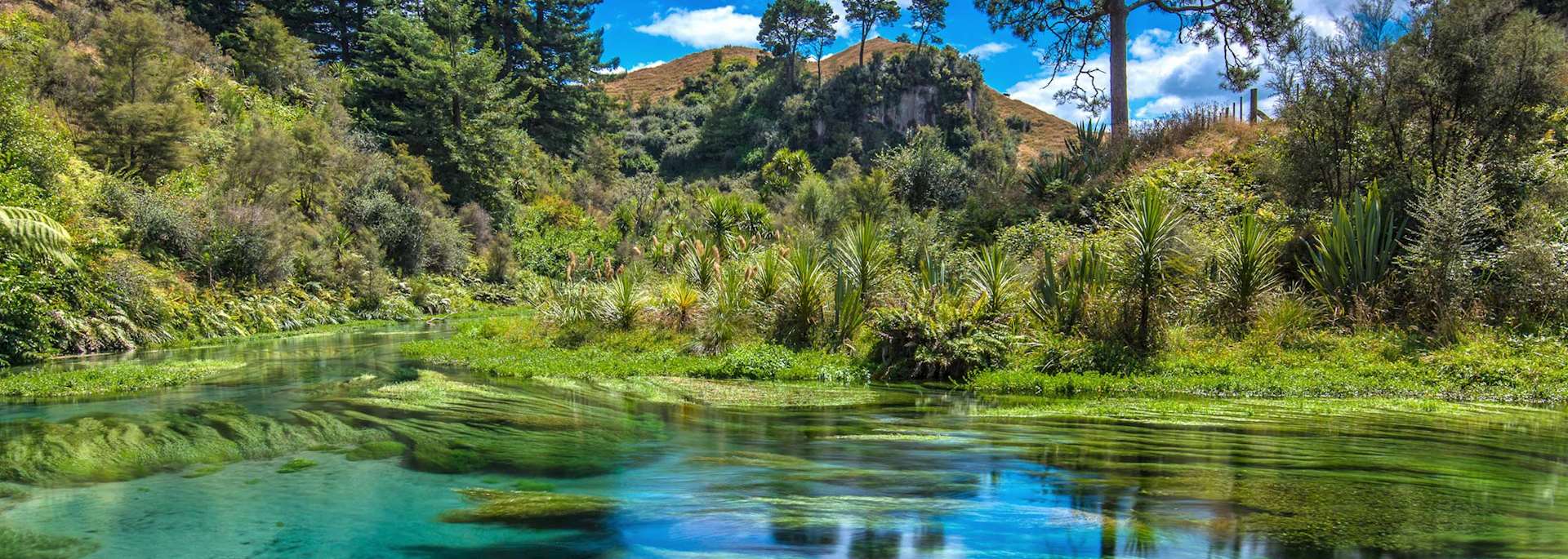 Waikato region, New Zealand