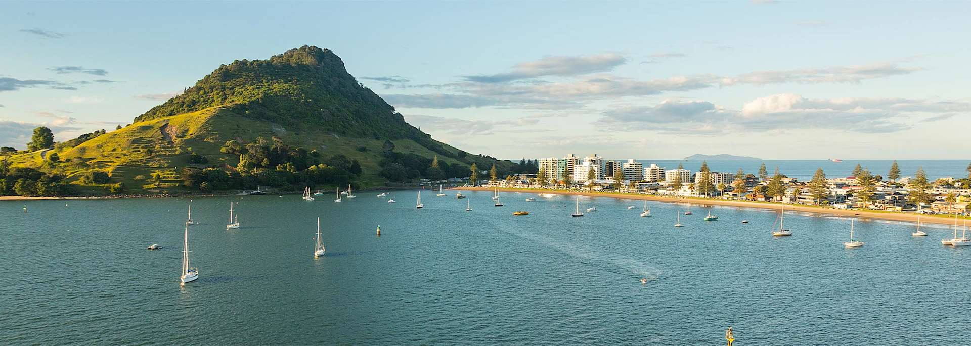 Tauranga