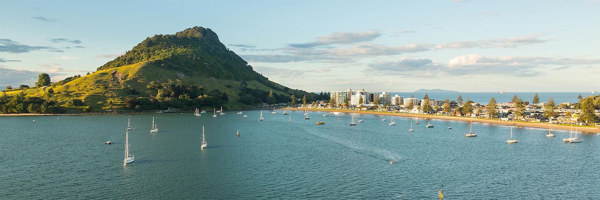 Tauranga