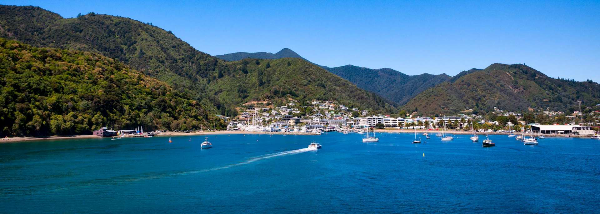 Picton