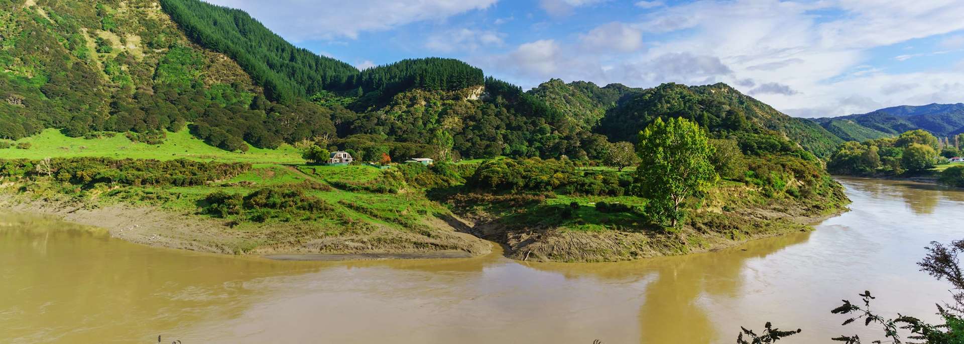 Whanganui National Park, New Zealand
