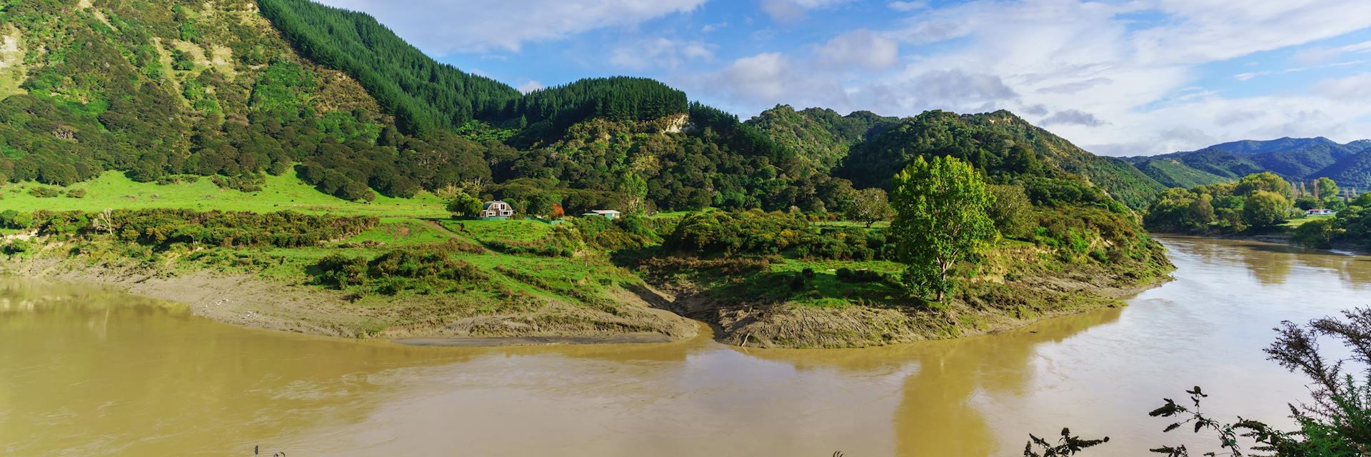 Whanganui National Park, New Zealand