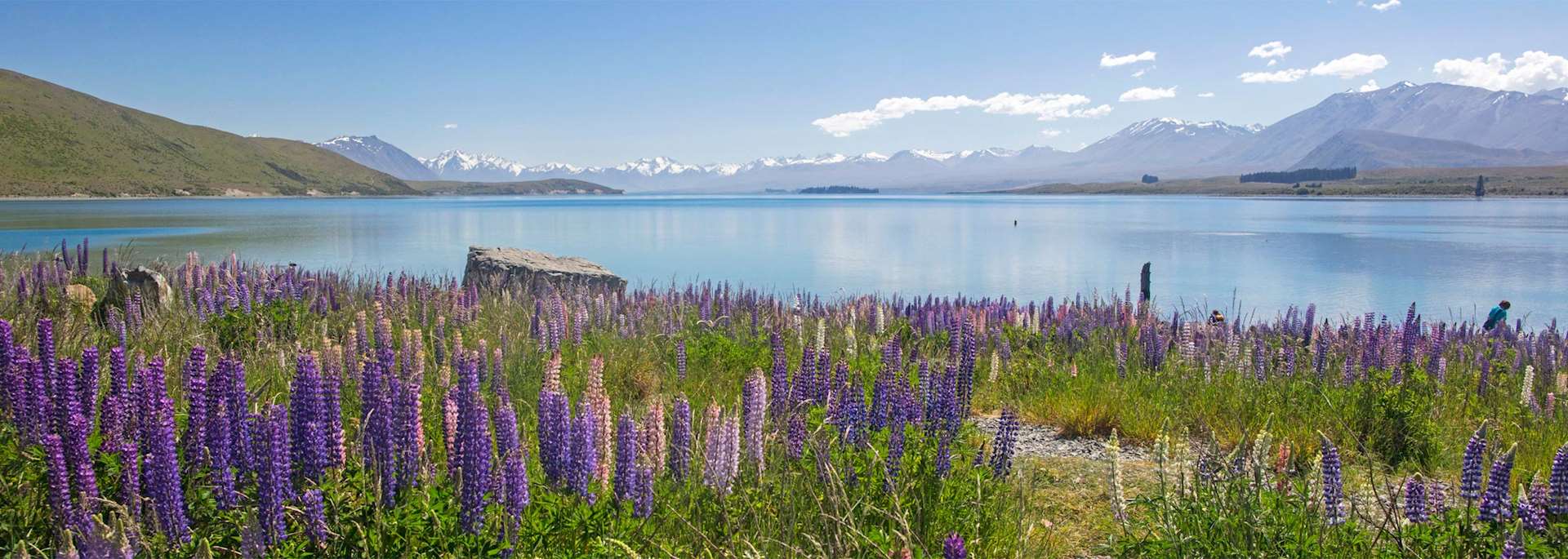 Lake Tekapo