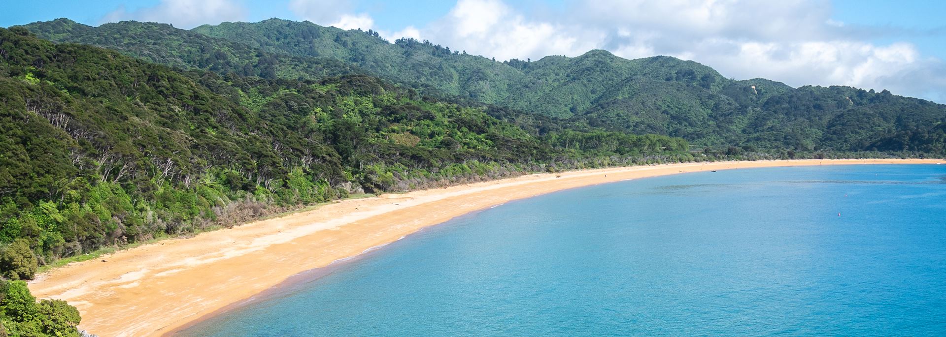 Beach in Abel Tasman National Park