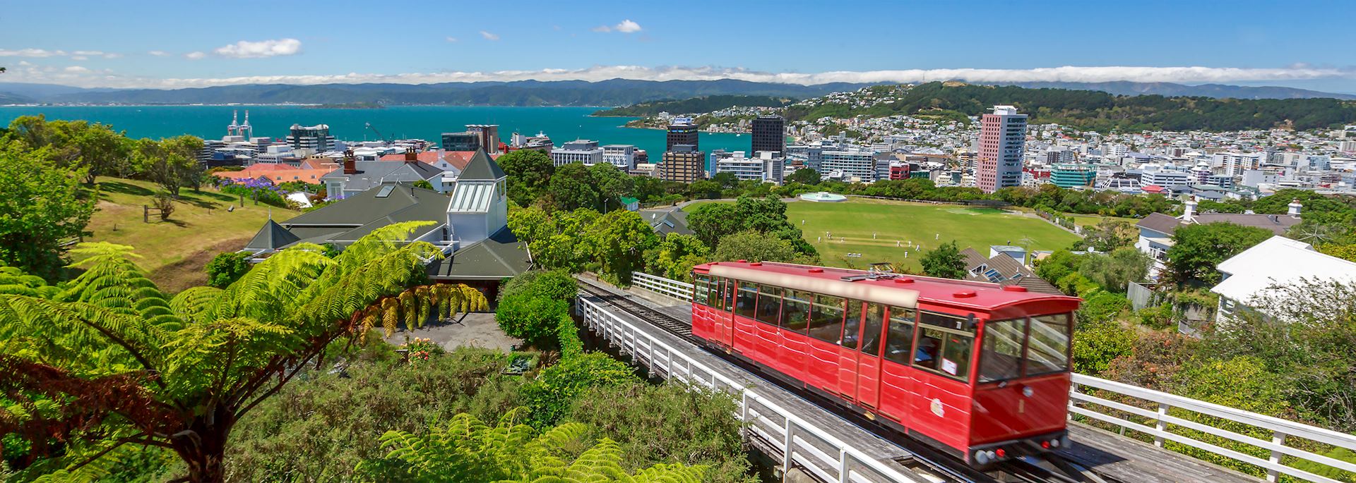 Wellington skyline
