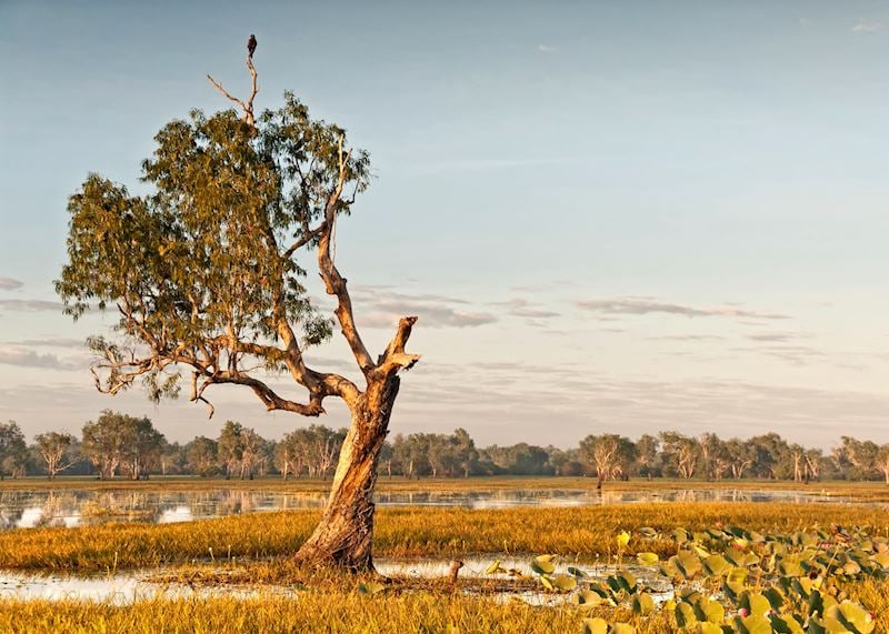 Kakadu National Park