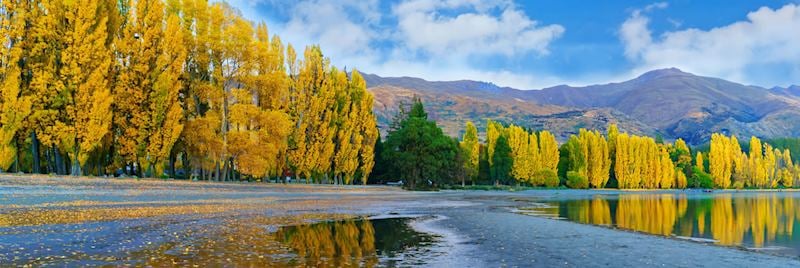 Lake Wanaka