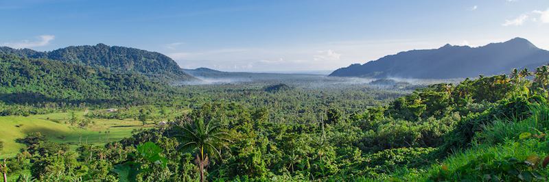 Lush vegetation of Samoa