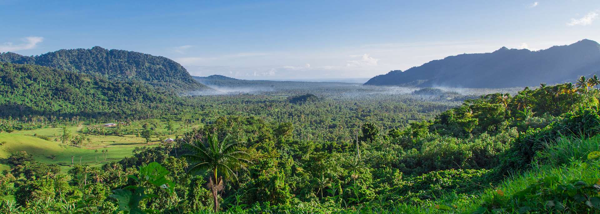 Lush vegetation of Upolu, Samoa