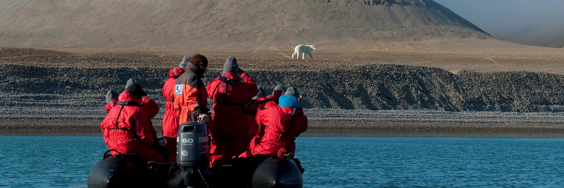 Polar bear, Northwest Passage, Canada