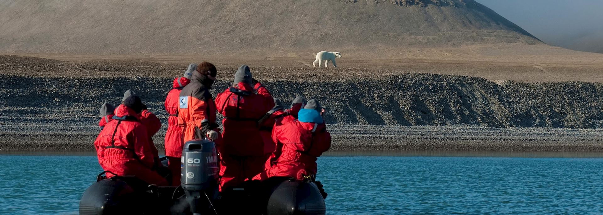 Polar bear, Northwest Passage, Canada