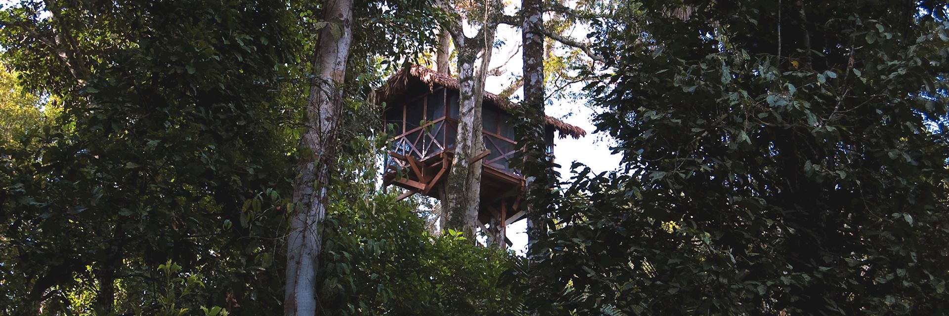 Canopy Tree house, Reserva Amazonica
