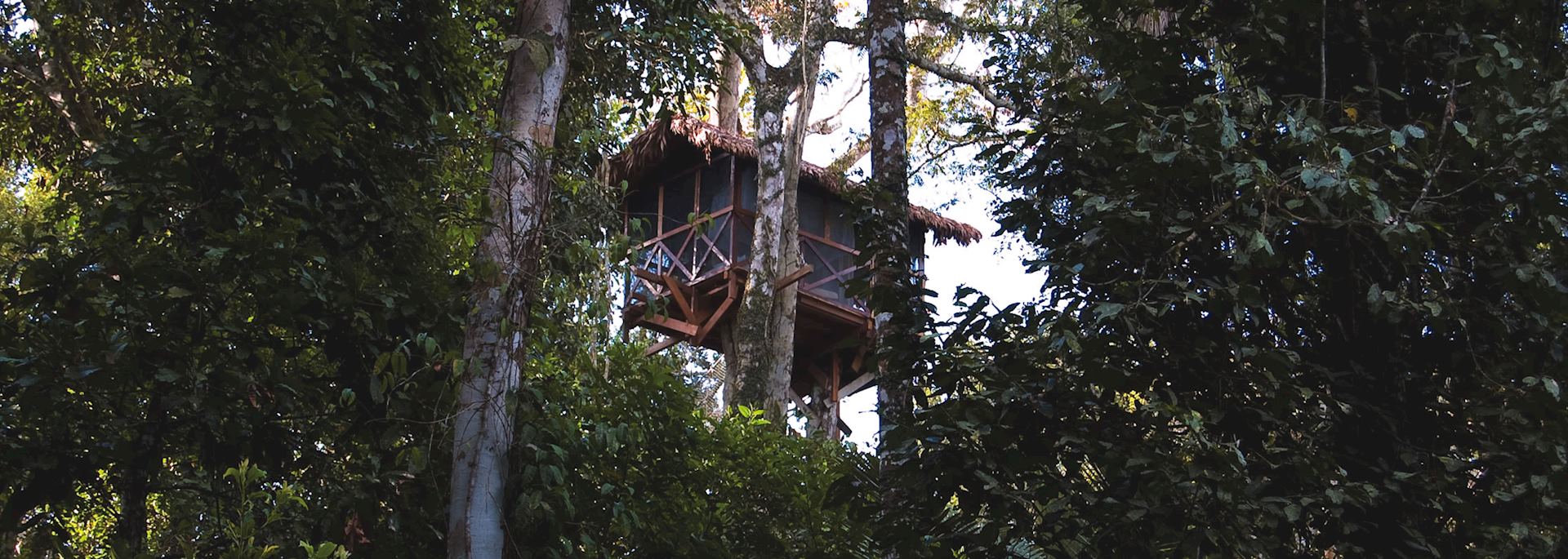 Canopy Tree house, Reserva Amazonica