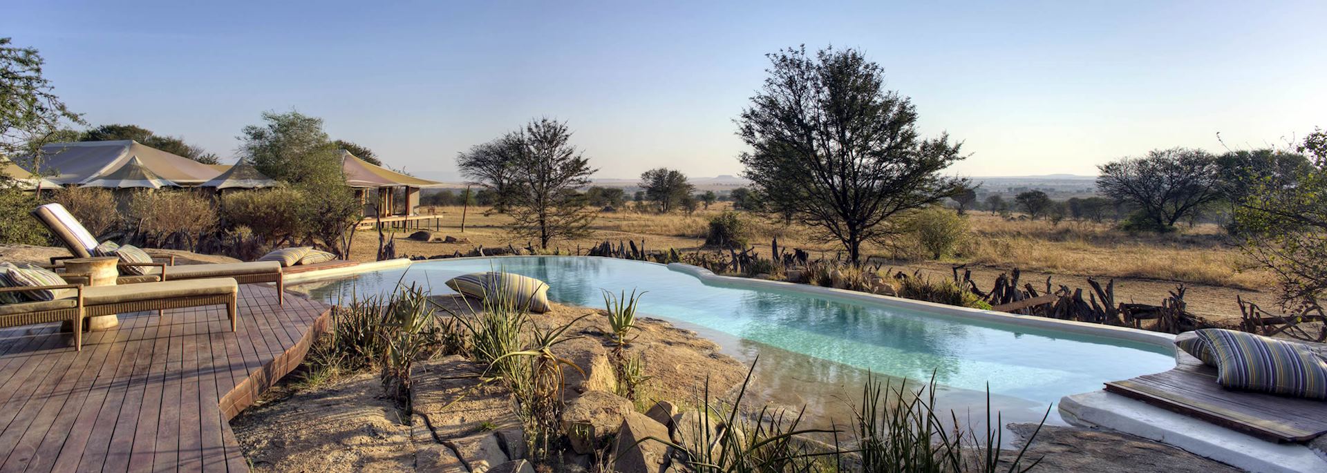 Pool at Sayari Camp, Tanzania