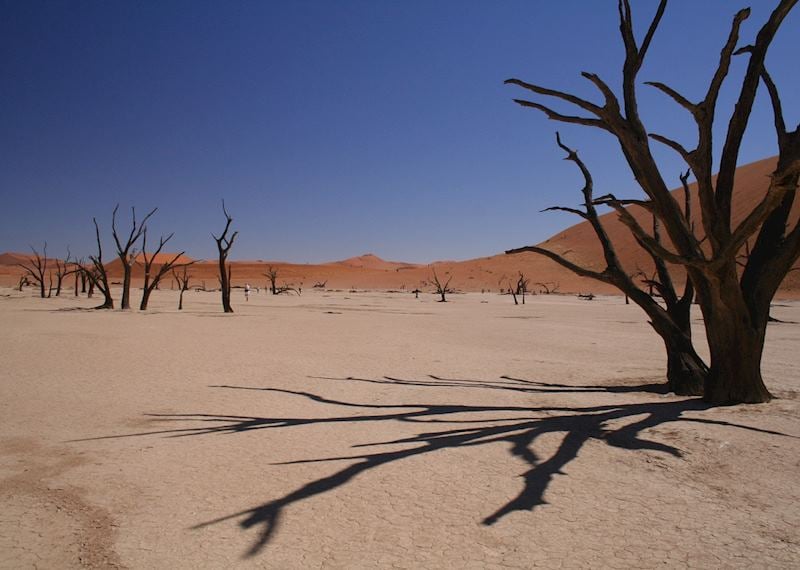 Dead_Vlei_Sossusvlei