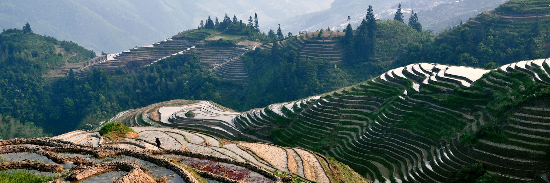 Rice_terraces_China