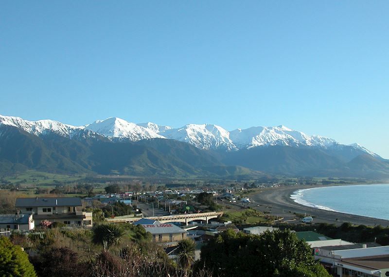 Visit Kaikoura in October to taste its Seafest festival's delicacies