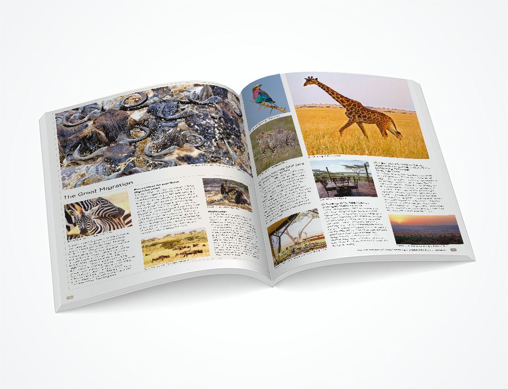 Our new Africa brochure Our new Africa brochure