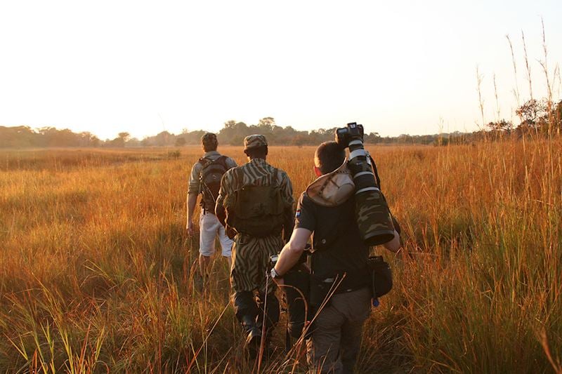 Walking safari from Musekese Bush Camp, Kafue National Park
