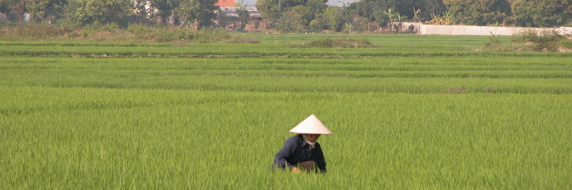 Mai Chau, Vietnam