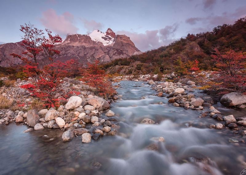 Close to Hosteria Pehoe in Torres del Paine National Park