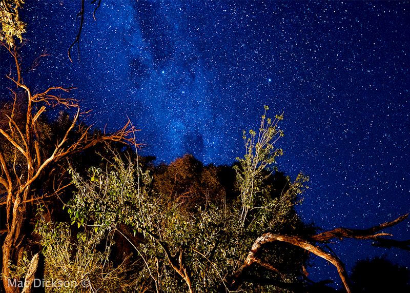 The Milky Way