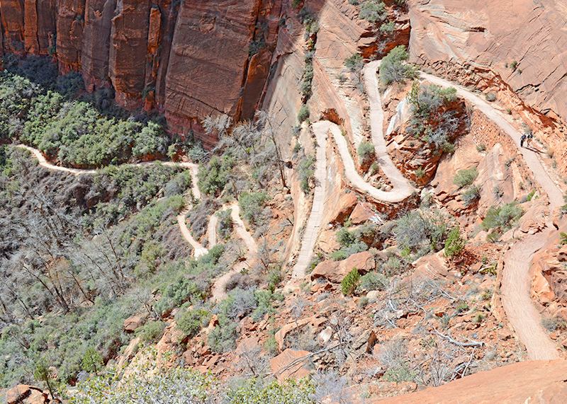The trail up to Angels's landing, Zion National Park