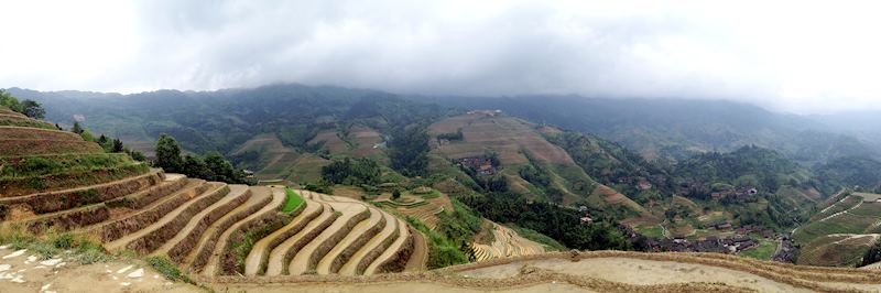 Rice paddy terraces in China