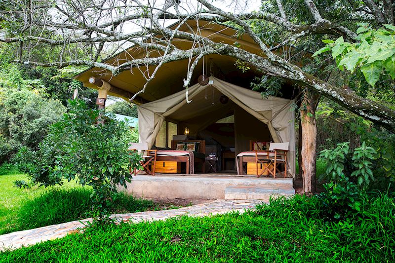 Bogani Lodge, Kenya