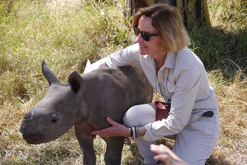 Baby rhino