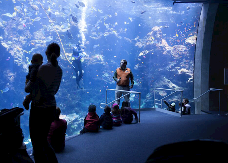 California Academy of Sciences