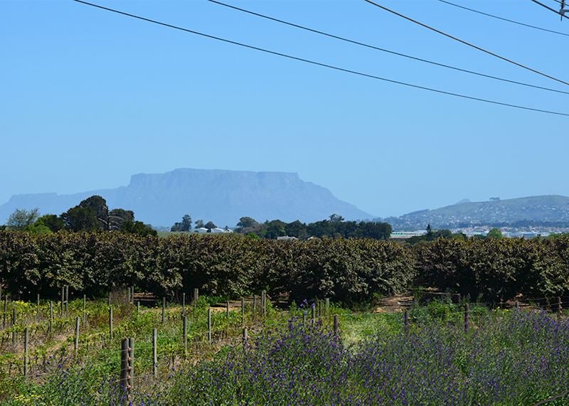 Leaving Cape Town on Rovos Rail