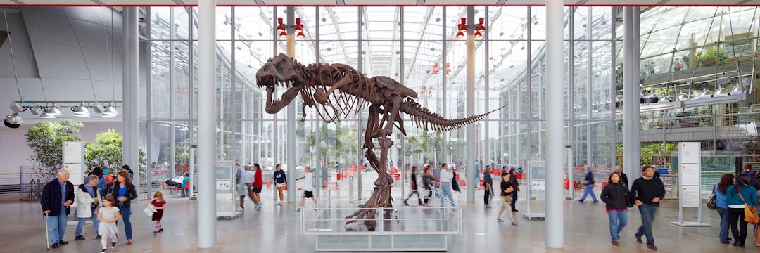 The Field Museum