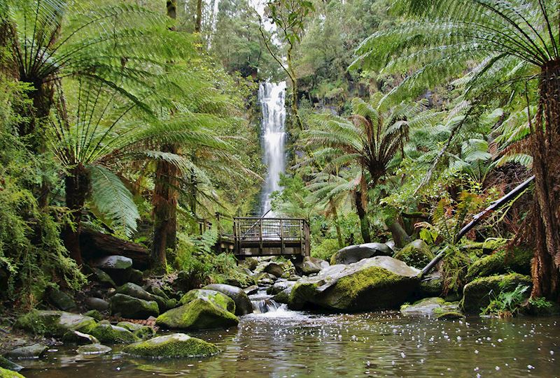 Erskine Falls, Great Ocean Road