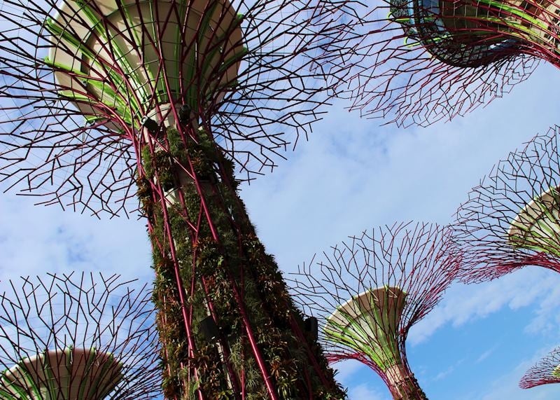 Gardens by the Bay, Singapore